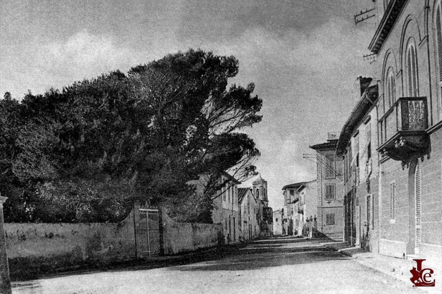 Antignano - Via duca_cosimo - 1920